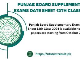 Punjab board supplementary test 

